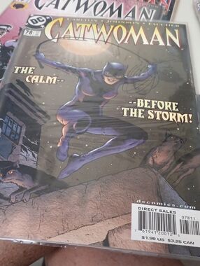 DC Catwoman Comic Cover – Purple Costume Artwork In A Sleeve